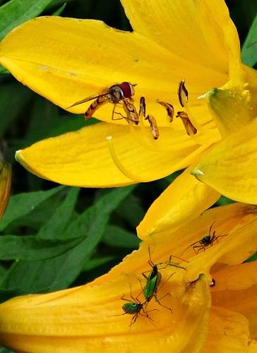 DSC00187
Фотограф: Сергей Буркацкий

Просмотров: 550
Комментариев: 0