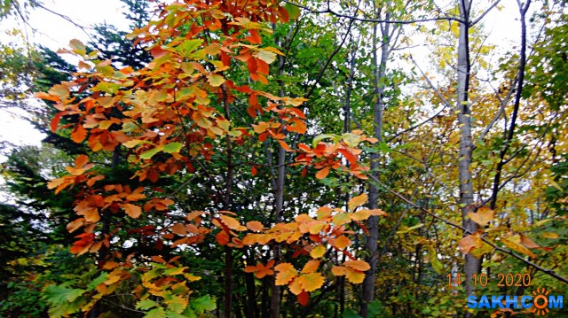 DSC08001