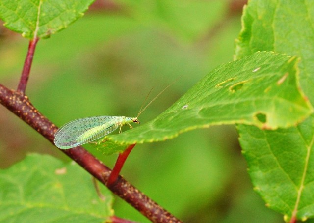 ***
Фотограф: Сергей Буркацкий

Просмотров: 722
Комментариев: 0