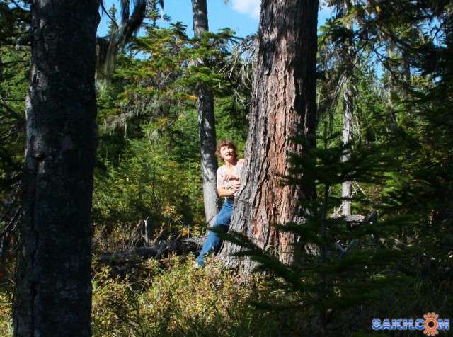 У большого дерева..
Фотограф: vikirin

Просмотров: 2065
Комментариев: 0