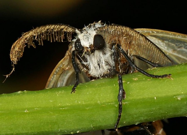 DSC01993
Фотограф: Сергей Буркацкий

Просмотров: 466
Комментариев: 0