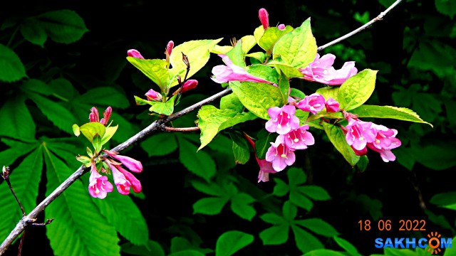 DSC09763

Просмотров: 403
Комментариев: 0