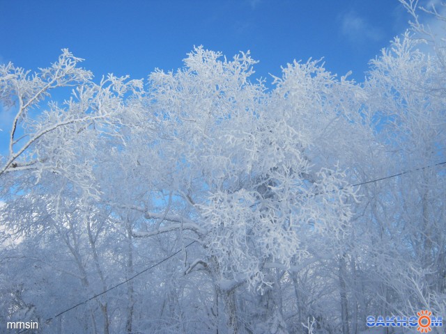 IMG_1644
Фотограф: mrnsin

Просмотров: 321
Комментариев: 0