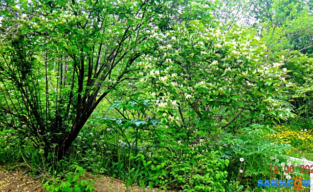 DSC09773

Просмотров: 327
Комментариев: 0