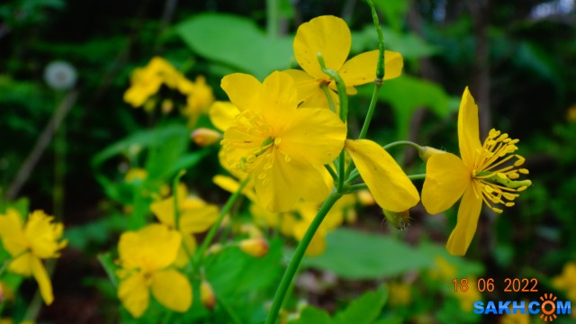 DSC09787

Просмотров: 357
Комментариев: 0