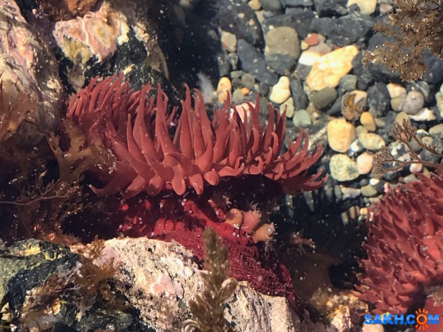 4D7AA351-5A16-4754-A4B5-8EF6C018BE3F
Фотограф: Tsygankov Yuriy

Просмотров: 1330
Комментариев: 0