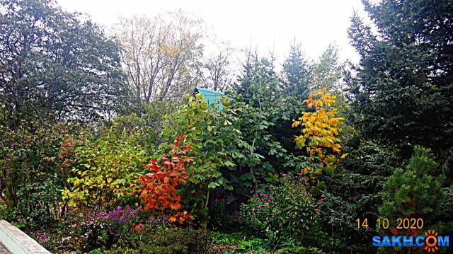 DSC08012