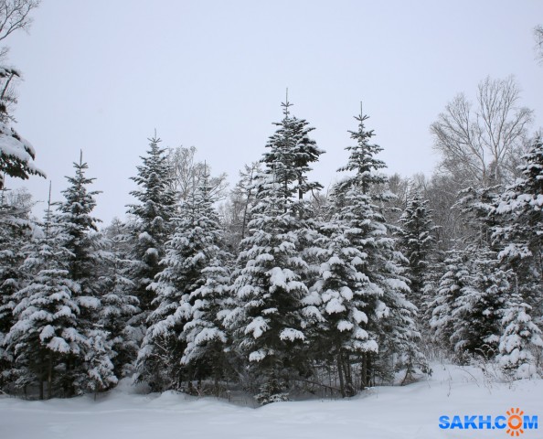 012-к

Просмотров: 570
Комментариев: 0