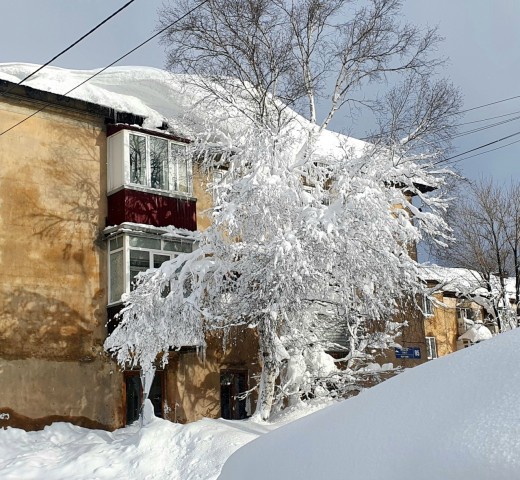 20220115_120236
Офигенно красивое дерево ))

Просмотров: 418
Комментариев: 0
