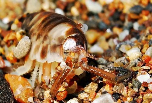 DSC02002
Фотограф: Сергей Буркацкий

Просмотров: 619
Комментариев: 0