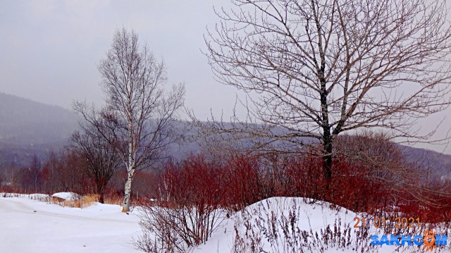 DSC09857