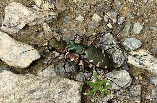 DSC00230
Фотограф: Сергей Буркацкий

Просмотров: 132
Комментариев: 0