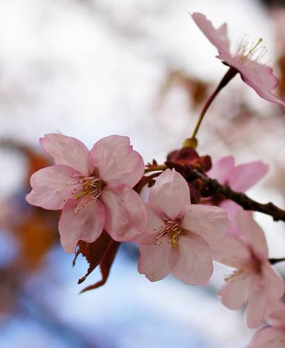 DSC05403
Фотограф: Сергей Буркацкий

Просмотров: 383
Комментариев: 0