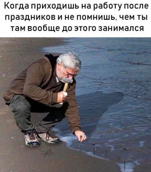 gvozdiki