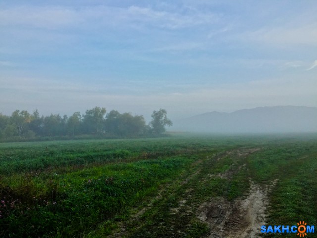 тамбовка

Просмотров: 459
Комментариев: 0