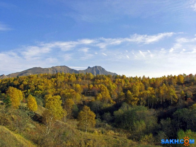 IMG_0272-к

Просмотров: 735
Комментариев: 0