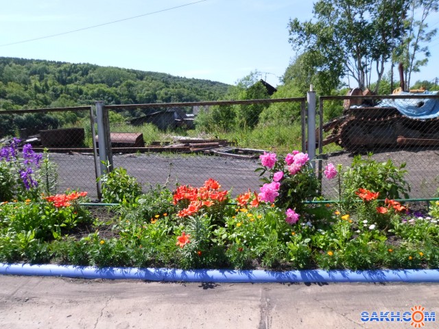 SAM_0037