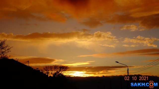 DSC06048