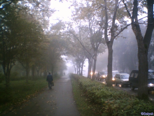 Осенний туман
Фотограф: АС-2й
Туманно

Просмотров: 1750
Комментариев: 0