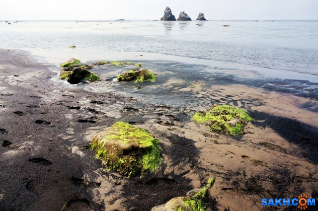 DSC03662
Фотограф: vikirin

Просмотров: 2011
Комментариев: 0