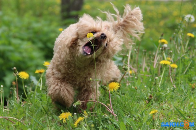 Ам!

Просмотров: 654
Комментариев: 0