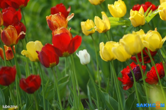 DSC05737
Фотограф: NIK

Просмотров: 626
Комментариев: 0