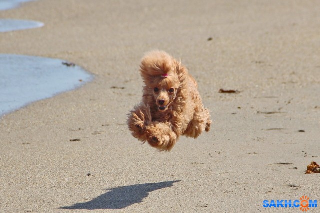 В полете

Просмотров: 613
Комментариев: 1