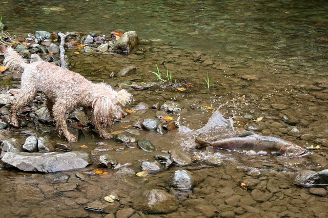 рыбачка

Просмотров: 2350
Комментариев: 0