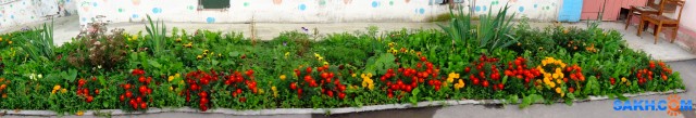 DSC05533

Просмотров: 687
Комментариев: 0