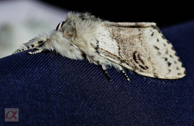 ***
Фотограф: Сергей Буркацкий

Просмотров: 856
Комментариев: 0