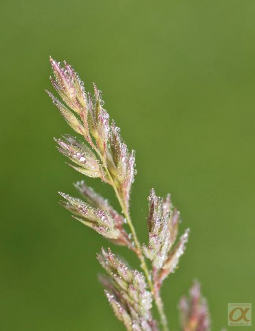 ***
Фотограф: .JPG

Просмотров: 922
Комментариев: 0