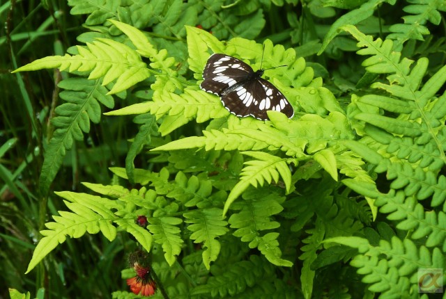 ***
Фотограф: Сергей Буркацкий

Просмотров: 680
Комментариев: 0