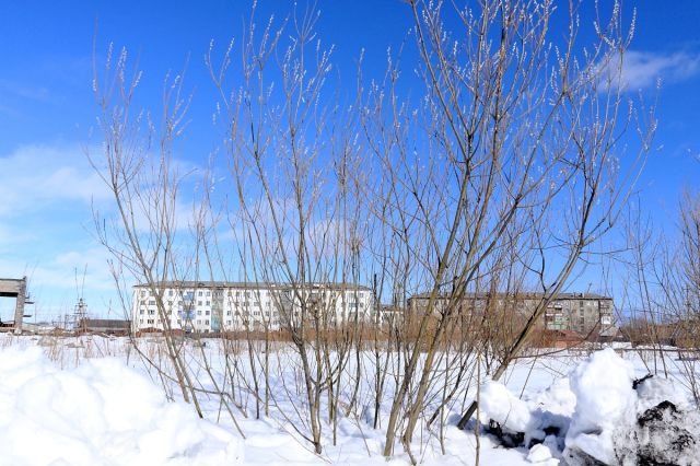 Поронайск сегодня

Просмотров: 6746
Комментариев: 0