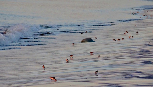 DSC04684
Фотограф: Сергей Буркацкий

Просмотров: 543
Комментариев: 0