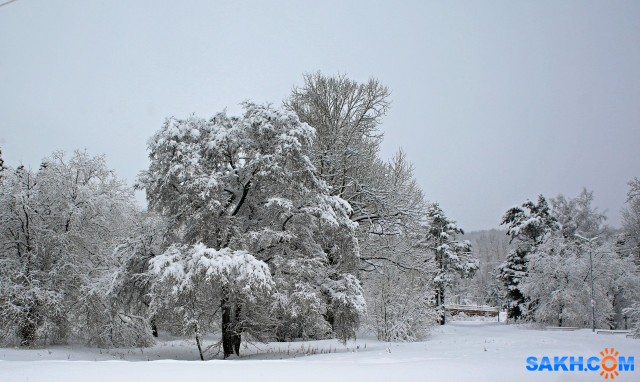 034-к

Просмотров: 813
Комментариев: 0
