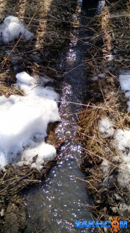 Вешние воды
Фотограф: mrnsin

Просмотров: 5129
Комментариев: 0