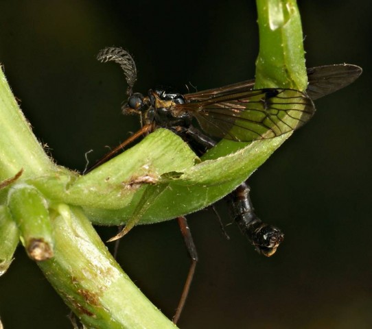 DSC02020
Фотограф: Сергей Буркацкий

Просмотров: 386
Комментариев: 0