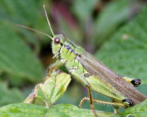 DSC03680
Фотограф: Сергей Буркацкий

Просмотров: 597
Комментариев: 0