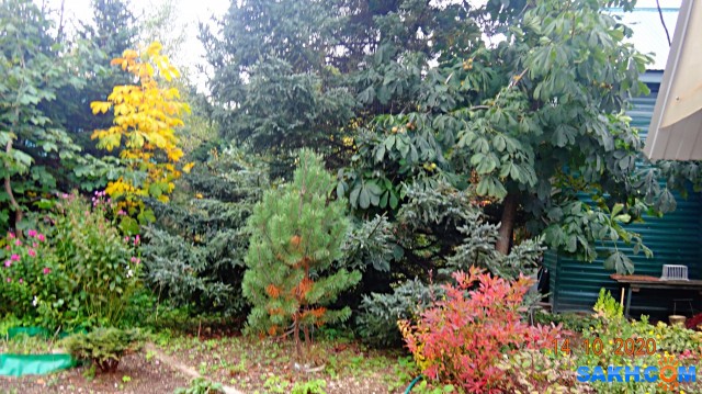 DSC08013