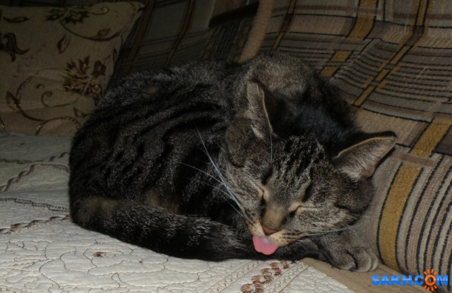 Как сладко спится...

Просмотров: 667
Комментариев: 0