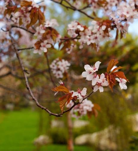 DSC05398
Фотограф: Сергей Буркацкий

Просмотров: 422
Комментариев: 0