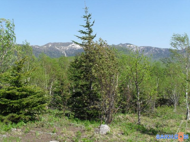 2013-06-08 Вид с горы Ломоносова

Просмотров: 1598
Комментариев: 0