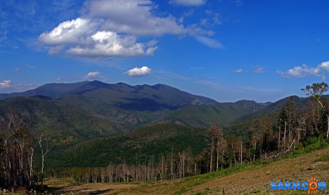 020-пан-к

Просмотров: 906
Комментариев: 0