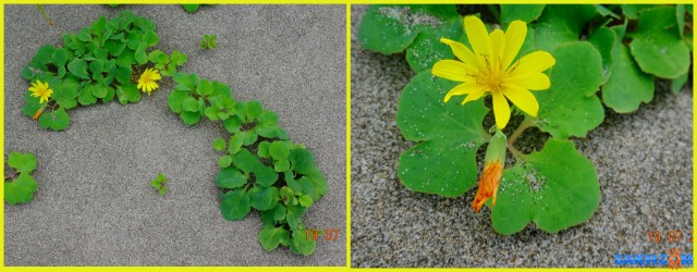 MyCollages (2)

Просмотров: 650
Комментариев: 0