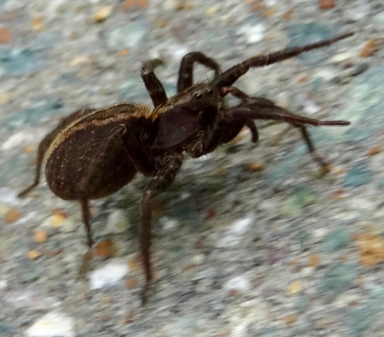 DSC04082
Фотограф: Сергей Буркацкий

Просмотров: 673
Комментариев: 0