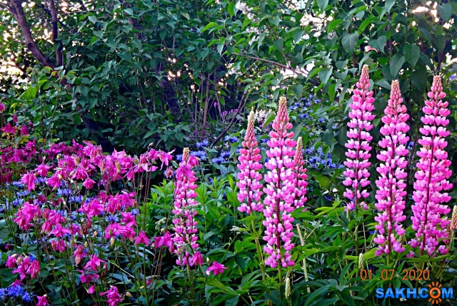 DSC02156

Просмотров: 798
Комментариев: 0