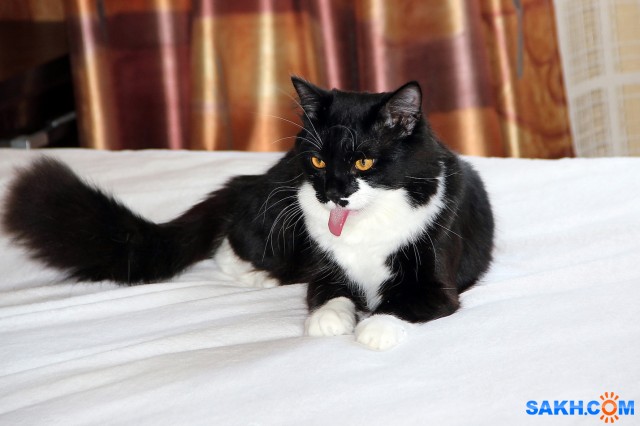 Вася

Просмотров: 707
Комментариев: 0