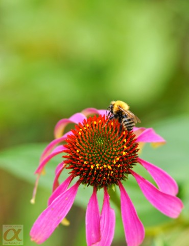***
Фотограф: Сергей Буркацкий

Просмотров: 830
Комментариев: 0