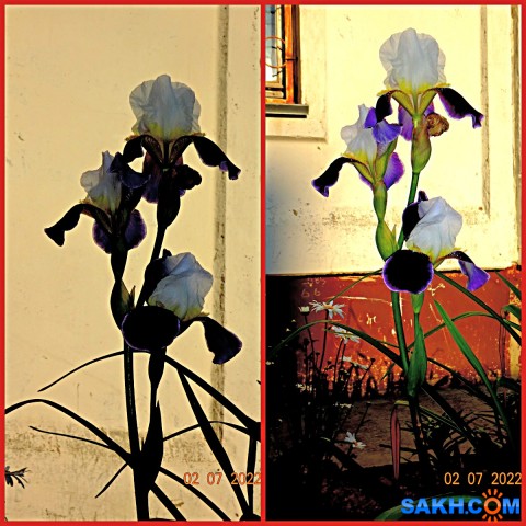 MyCollages

Просмотров: 390
Комментариев: 0