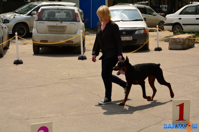 DSC_0238 (1280x853)
Фотограф: Vitus

Просмотров: 320
Комментариев: 0